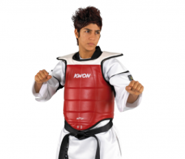 kwon-4000400