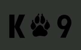 patch-k9-bv
